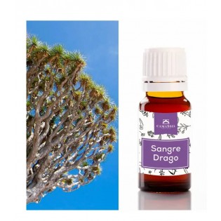 Sangre de Drago Fluido 10 ml.