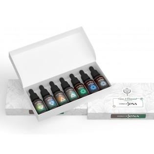 Kit Chakras Findhorn