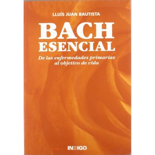 Baccalauréat indispensable