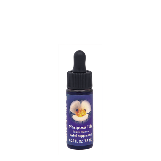 Mariposa Lily - Lirio Mariposa - FES