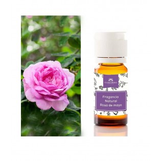 Fragancia Natural Petalos de Rosa 10 ml.