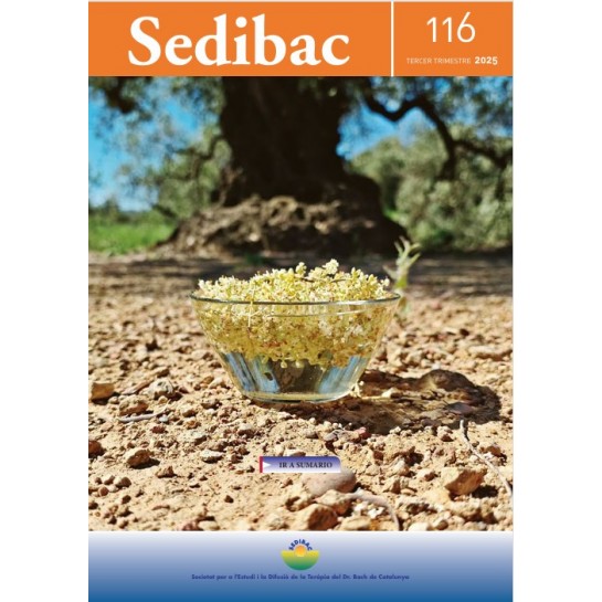 copy of Revista Sedibac nº 114