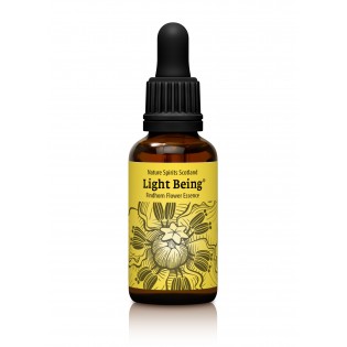 Licht Wesen - vorhandenes Licht 30 ml.