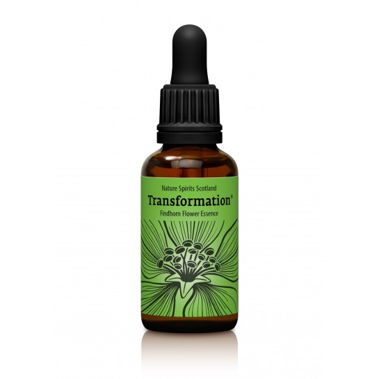 Transformation - Transformation 30 ml.
