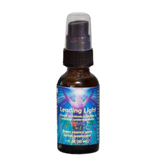 Leading Light 30 ml.