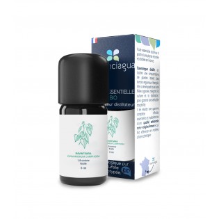 copy of Bergamota Bio 5 ml. ESS