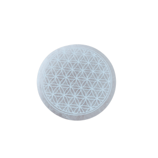 Medallon Selenita Flower of Life