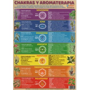 Lámina Chakras y Aromaterapia