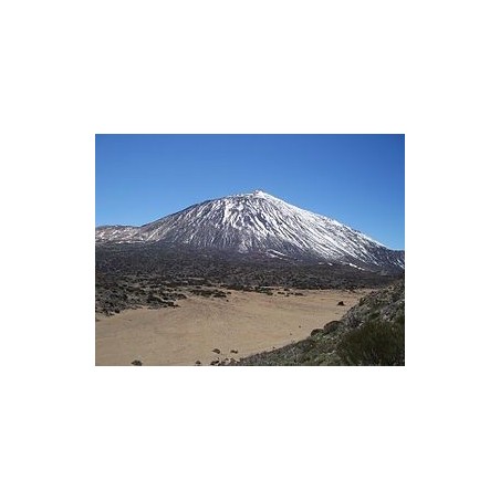 Teide-Volcan Essence