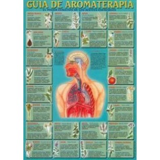 Lámina Guia de Aromaterapia