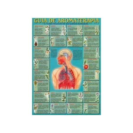 Lámina Guia de Aromaterapia