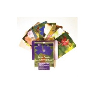 Cartas Bach-Nestinar