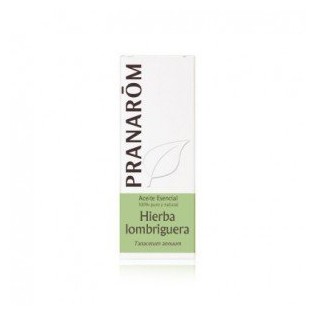 Hierba Lombriguera (Tanaceto) 5 ml.