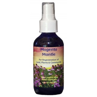 Magenta Healer Spray 30 ml.
