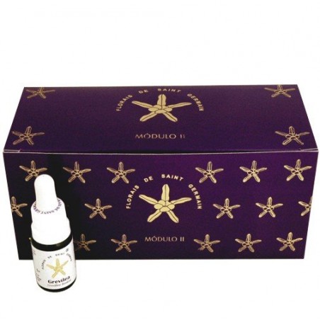 Kit Módulo II 10 ml. Saint Germain