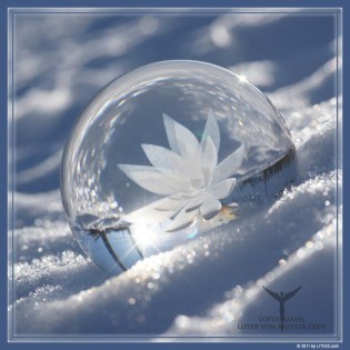 Loto Madre Tierra - Litios