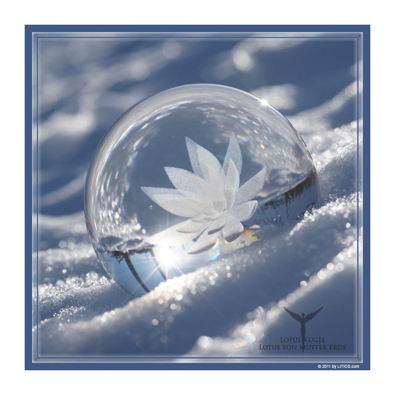 Loto Madre Tierra - Litios