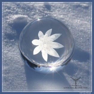 The Lotus of Mother Earth - Litios