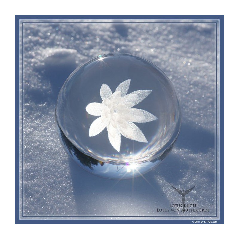 Loto Madre Tierra - Litios