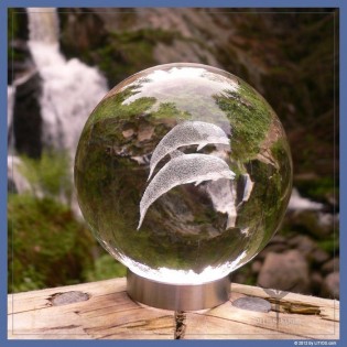 Esfera Delfin - Litios