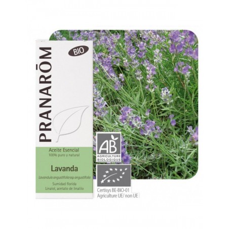 Lavender, true Bio 10 ml PR