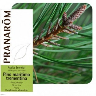 Scots pine Bio 10 ml PR