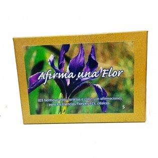 Cartas Florales Fes-Califonria