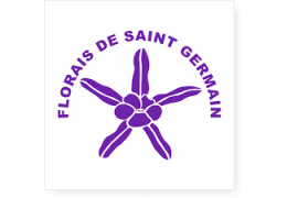 Formula de Protección de Saint Germain